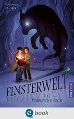 Finsterwelt 1. Das verbotene Buch (eBook, ePUB)