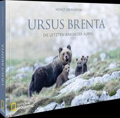 Ursus Brenta - Die R&uuml;ckkehr der B&auml;ren in die Alpen