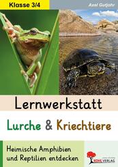 Lernwerkstatt Lurche und Kriechtiere