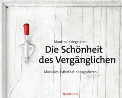 Die Schönheit des Vergänglichen (eBook, ePUB)