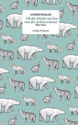 Ob der Eisb&auml;r im Zoo von der Arktis tr&auml;umt