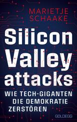 Silicon Valley attacks