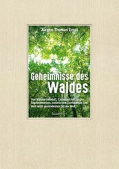 Geheimnisse des Waldes (eBook, ePUB)