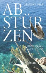 Abstürzen (eBook, ePUB)