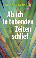 Als ich in tobenden Zeiten schlief
